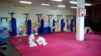 секция смешанных боевых единоборств (MMA) - Алтайский спортивный клуб Адреналин