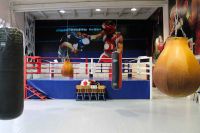 Академия бокса (фото 8)