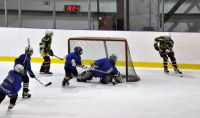 спортивная школа хоккея для подростков - Ледовый дворец спорта Зеленоградский