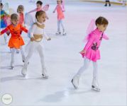 спортивная школа фигурного катания для детей - Академия фигурного катания «Твизл Новис»