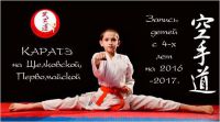 спортивная школа каратэ для детей - ЦВП БушиДо (Щелковская)