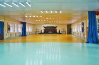 спортивная школа джиу-джитсу для подростков - Центр изучения боевых искусств Дамо (ВДНХ)