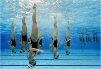 спортивная секция синхронного плавания - Нататор (бассейн «Пионер»)