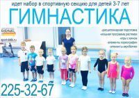 спортивная секция спортивной гимнастики - Детский спортцентр Будущее (СК Салют)