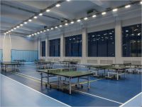 секция настольного тенниса - Newton Arena