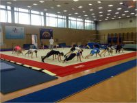 секция акробатики для взрослых - Гимнастический центр Yourways (Черкизовская)