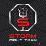 секция смешанных боевых единоборств (MMA) - Клуб смешанных единоборств Шторм