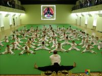 спортивная школа ушу (Кунг-фу) для детей - Международный центр исторического фехтования Эскалибур