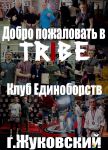 Клуб единоборств TRIBE Жуковский (фото 3)