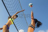 спортивная школа волейбола для взрослых - Центр детского творчества Парус