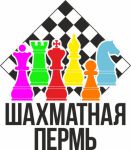 Школа шахмат Шахматная Пермь (фото 2)