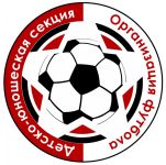 секция футбола - Детско-юношеская секция Организация футбола