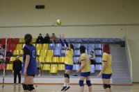 Волейбольная школа Libero (Космонавта Беляева) (фото 3)