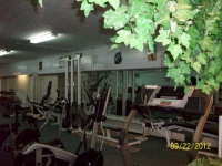 Спортивно-оздоровительный центр «Олимпус» (фото 2)