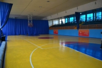 Спортивно-оздоровительный комплекс «Дружба» в Казани 