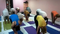 Центр йоги и ведической психологии «Пармананд» (Донецкая) (фото 2)