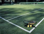 Теннисный корт на Красных Партизан (фото )