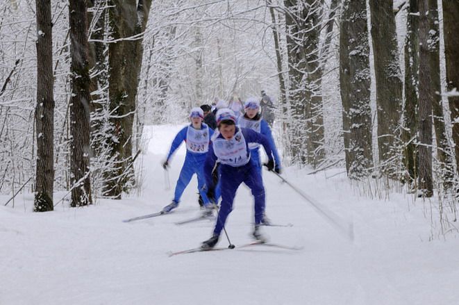 Центр лыжного спорта, БУ, СДЮСШОР (фото )