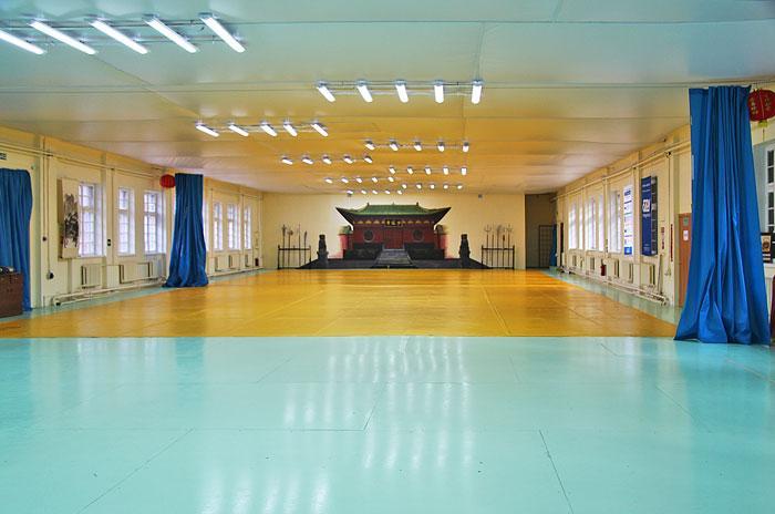Центр изучения боевых искусств Дамо (ВДНХ) (фото )