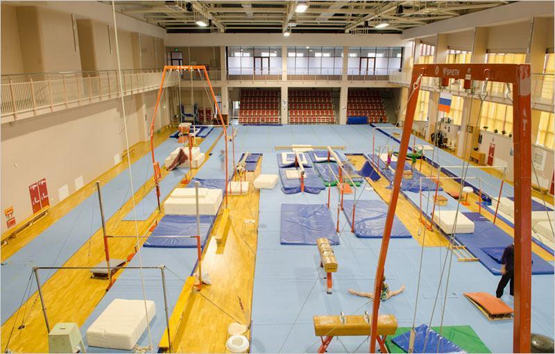 Секция спортивной гимнастики в УСЦ Грация (фото )