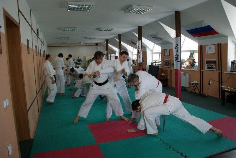Ульяновская Академия боевых искусств (фото )