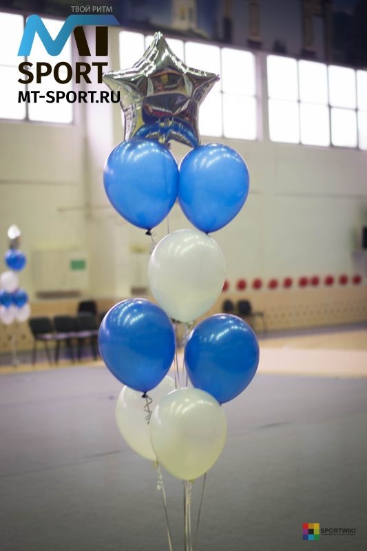 Центр спортивного развития МТ-sport (фото )