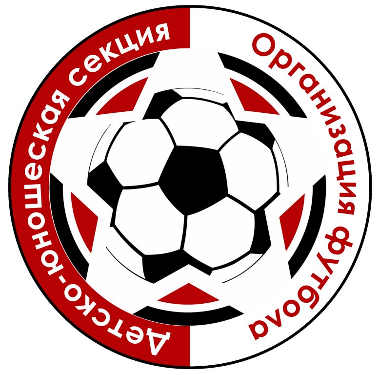 Детско-юношеская секция Организация футбола (фото )