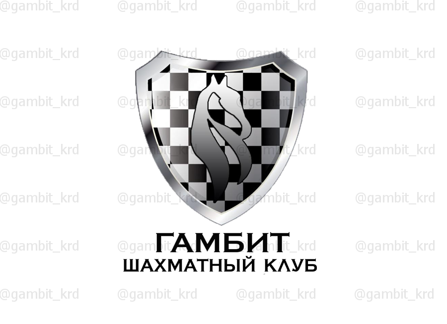 Шахматный клуб Гамбит (фото )