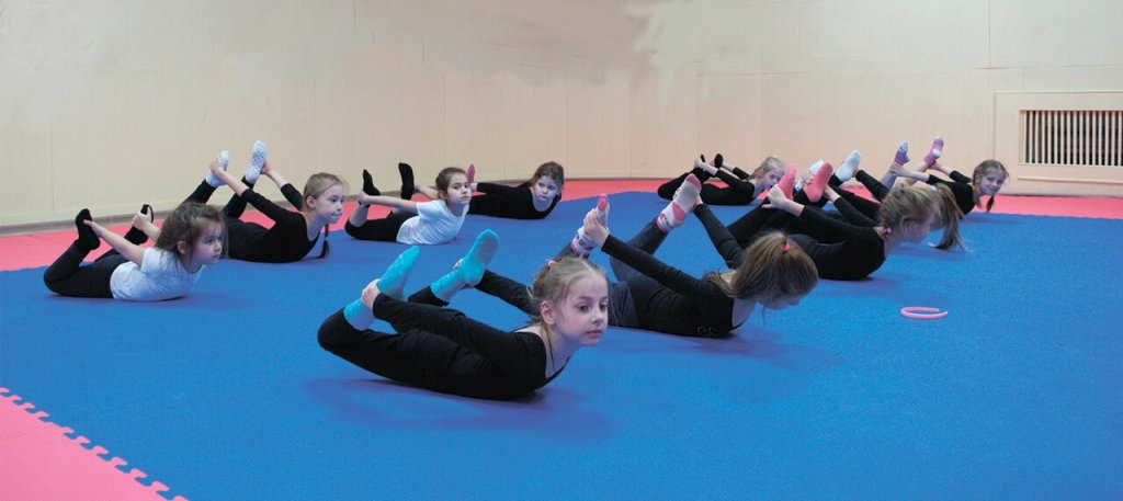 Школа Гимнастики Gym Balance на Северном (фото )