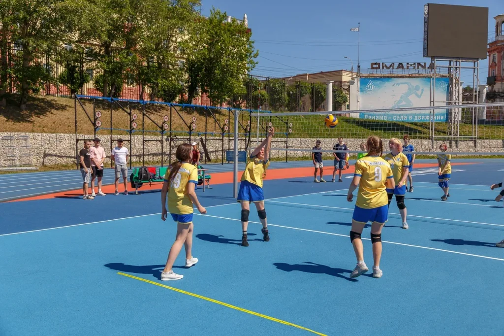 Волейбольная школа LIBERO (Революционная) (фото )