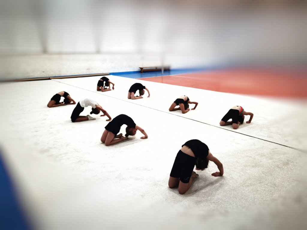 Художественная гимнастика «Орион» (фото )