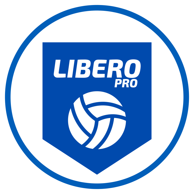 Волейбол для взрослых LIBERO PRO (фото )