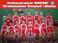 Детская футбольная школа Полярник (фото 2)