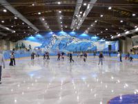 Ледовый спортивно-развлекательный комплекс Каток.Ру (фото 3)