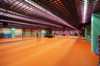 спортивная секция художественной гимнастики - Фитнес-комплекс/ СПА центр ION