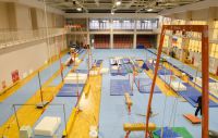 Спортивная гимнастика в УСЦ Грация (фото 2)