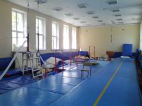 Академия гимнастики (фото 3)