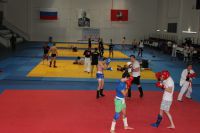 спортивная секция смешанных боевых единоборств (MMA) - Спортивный клуб Эквит Косинская