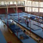 Академия спортивной гимнастики в г. Самара