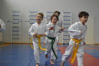 Комплексная спортсекция для детей 5-10 лет в ДК Современник (фото 2)