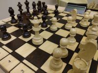 Шахматный клуб ОЛИМП (фото 2)