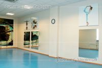 Спортивно-оздоровительный комплекс Синара (Фитнес центр Реформа) (фото 3)