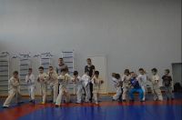 Универсал - комплексная спортивная подготовка для детей 4-7 лет в СК Заря (фото 3)