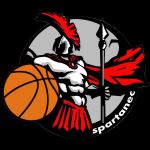 спортивная секция баскетбола - ДЮСШ Баскетбольный клуб Спартанец
