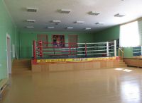 ДЮСШ по боксу Заполярный ринг (фото 2)