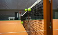 Теннисный корт Lawn Tennis Club (фото 3)