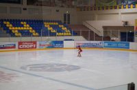 Ледовый дворец спорта имени В.М. Боброва (фото 3)