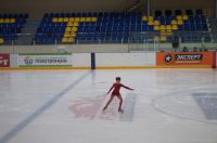 Ледовый дворец спорта имени В.М. Боброва