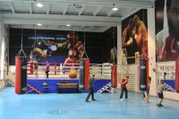 Академия бокса (фото 2)