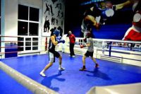 Академия бокса (фото 7)